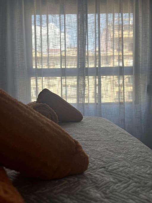 Apartamento Medina Azahara Córdoba Exteriér fotografie